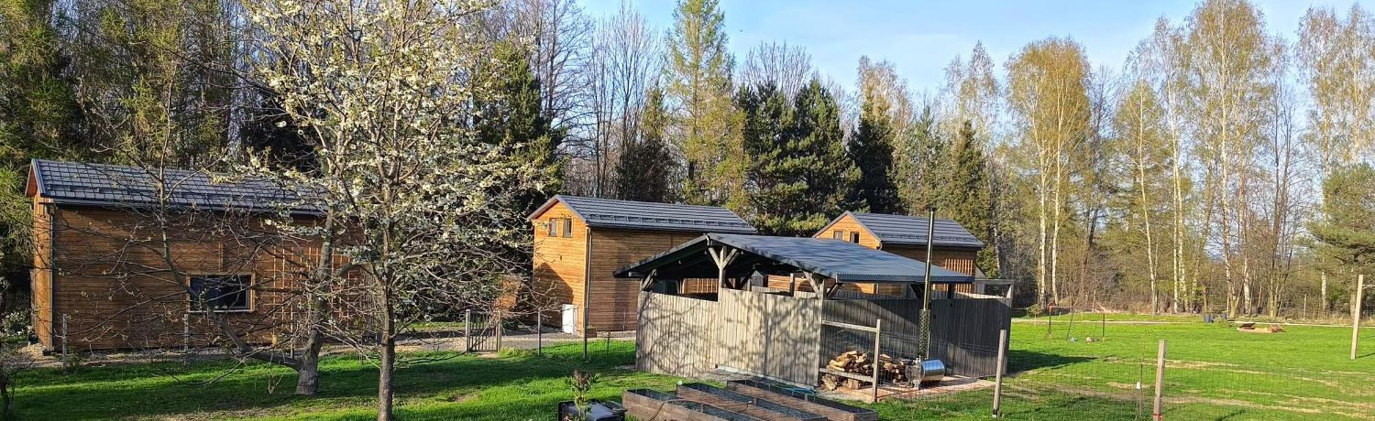Domki Rower-Narty-Lezak - Caloroczne, Niezalezne, Taras, Grill, Zadaszone Jacuzzi, Ognisko, Duzy Teren, Blisko Las, Trasy Rowerowe Single-Track, Piesze Wedrowki, Narty Swieradow-Zdroj Bagian luar foto